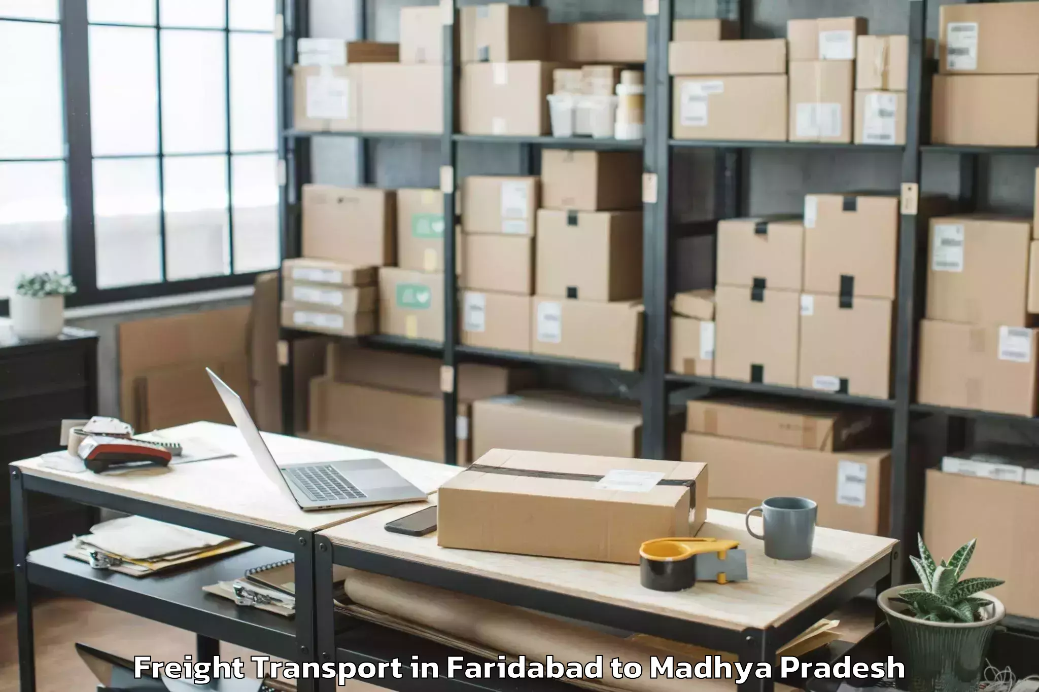 Book Faridabad to Biaora Freight Transport